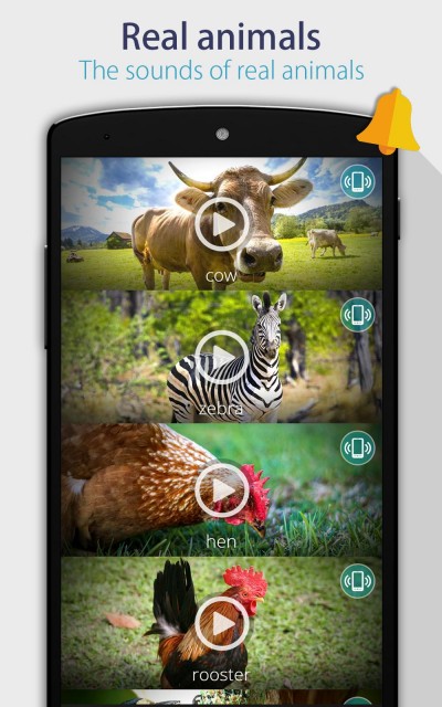Animals: Ringtones  [Mod Ad Free]  - Android & iOS  MODs, Mobile Games & Apps