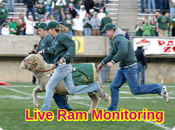 Live Ram Monitoring.jpg