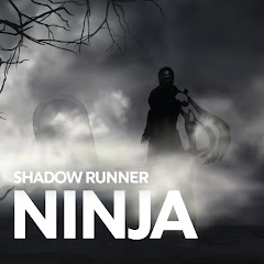Shadow Runner Ninja, Part 2