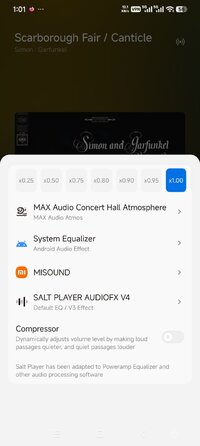 Screenshot_2026-08-17-13-01-21-774_com.salt.music.jpg