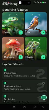 Screenshot_2026-08-19-11-19-32-502_com.ai.snake.identifier.scanner.jpg