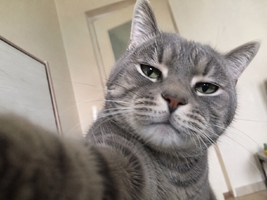 file_00000000351c820894214802a348df89.png