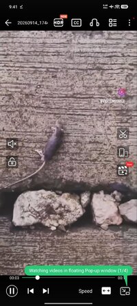 Screenshot_2026-09-19-09-41-41-718_com.playit.videoplayer.jpg