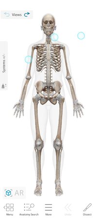 Screenshot_2026-10-07-10-48-00-525_com.visiblebody.atlas.jpg