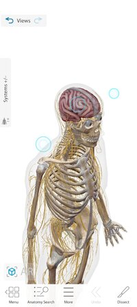 Screenshot_2026-10-07-10-47-43-451_com.visiblebody.atlas.jpg