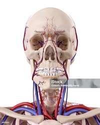 istockphoto-482335816-1024x1024.jpg