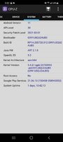 Screenshot_20210318-210228_CPU-Z.jpg