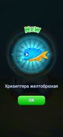 Screenshot_20211201-054609.jpg
