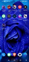 Screenshot_20220228-194003.jpg