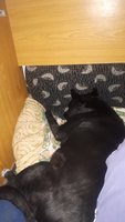 IMG-20220405-WA0000_optimized.jpg