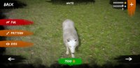 Screenshot_20221129-114804_Wolf Simulator.jpg