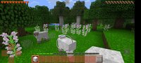 Screenshot_20230320-050206.jpg