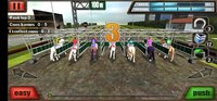 Screenshot_20230624-202145_Horse Racing.jpg