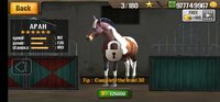Screenshot_20230624-202122_Horse Racing.jpg