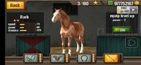 Screenshot_20230624-202107_Horse Racing.jpg