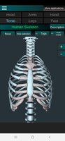 Screenshot_20230704-030217_Human skeleton (Anatomy).jpg