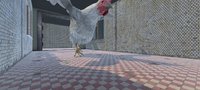 Screenshot_2023-07-06-13-13-49-199_com.xd.chicken.attack.jpg