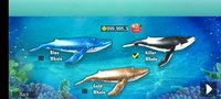 Screenshot_2023-11-30-09-48-40-390_com.citrusgamesstudios.ocean.simulator.bluewhale3d.jpg