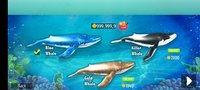 Screenshot_2023-11-30-09-46-35-210_com.citrusgamesstudios.ocean.simulator.bluewhale3d.jpg