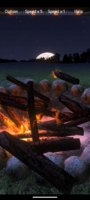 Screenshot_20240303-144610_BonFire3D Pro.png