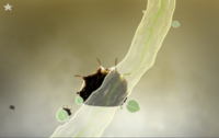 Screenshot 2024-07-17 151334.png