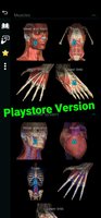 Screenshot_20240727-205343_Anatomy Learning.jpg