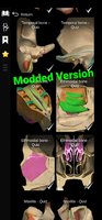 Screenshot_20240727-205537_Anatomy Learning.jpg