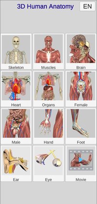 Screenshot_2024-09-03_164817_com.hssn.anatomy3d.jpg