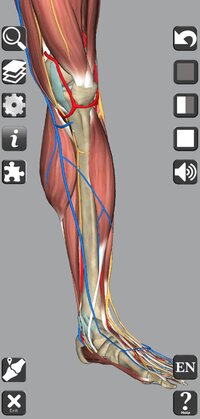 Screenshot_2024-09-03_164807_com.hssn.anatomy3d.jpg