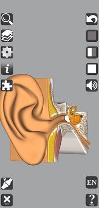 Screenshot_2024-09-03_164812_com.hssn.anatomy3d.jpg