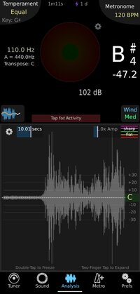 Screenshot_2024-09-06_171625_com.sonosaurus.tonalenergytuner.jpg