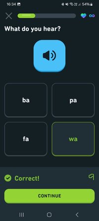 Screenshot_20240907_163459_Duolingo.jpg