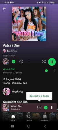 Screenshot_20240907_165308_Spotify.jpg