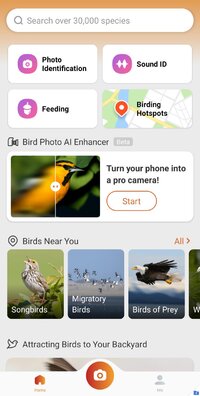 Screenshot_20240916-160515_Picture Bird.jpg