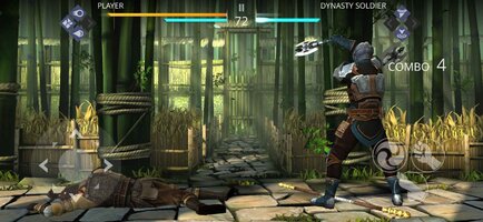 Screenshot_20241118-181112_Shadow_Fight_3.jpg