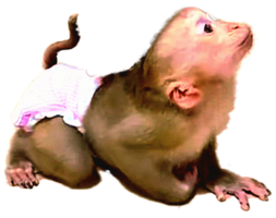 Screenshot_20241101_194043.png