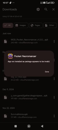 Screenshot_2024-12-18-22-07-25-344_com.google.android.packageinstaller.jpg