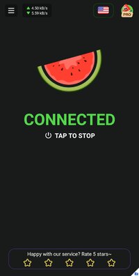 Screenshot_20241228-113158_Melon VPN.jpg