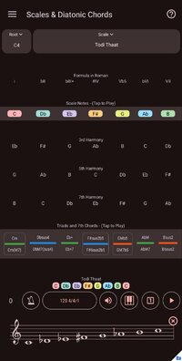 Screenshot_20250129-214448_Music Theory Companion.jpg