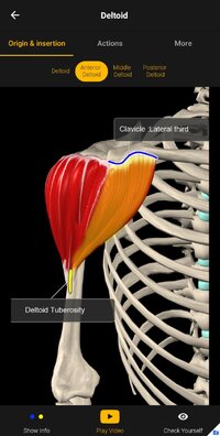 Screenshot_20250214-224329_Anatomy.jpg