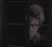 190254c5420c7995a31eb9edac2140e8fac5dd6ab34bde93bd5fd1d088568612.gif