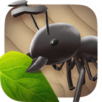 Idle Ant War