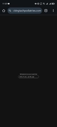 Screenshot_20250423_233728_com_android_chrome_ChromeTabbedActivity.jpg