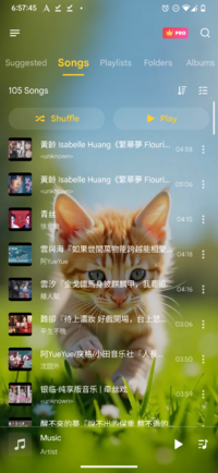 Screenshot_20250505-065746_Music Player.png