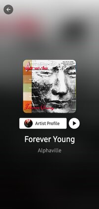 Screenshot_20250505_131941_Song Finder.jpg