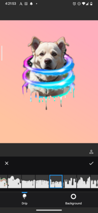 Screenshot_20250508-162153_Mirror Collage.png