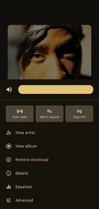 Screenshot_20250508_180645_Metrolist.jpg