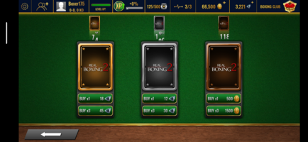Screenshot_20250509-015036_Real Boxing 2.png