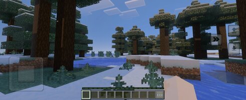 Screenshot_20250508_230806_Minecraft.jpg
