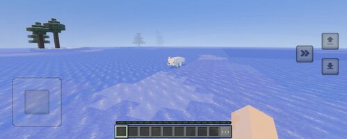 Screenshot_20250508_231019_Minecraft.jpg